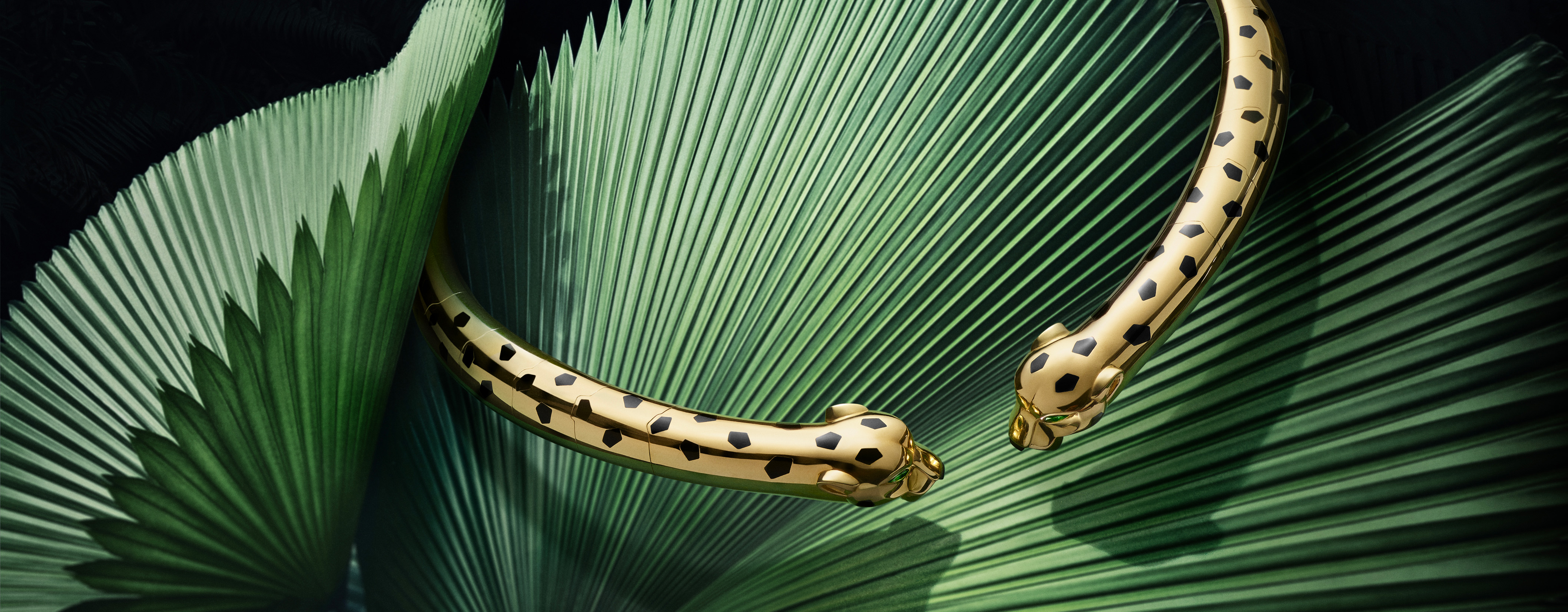 Panthère de Cartier - Campaigns and content - Watch & jewelry